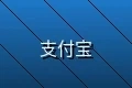支持支付宝在线支付